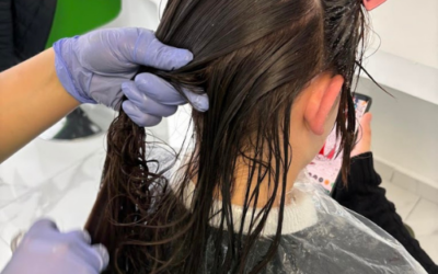 INSTITUT ANTI-POUX LYON : EFFICACE ET ABORDABLE CONTRE LES POUX À LYON – LA CLINIQUE DU POUX LYON